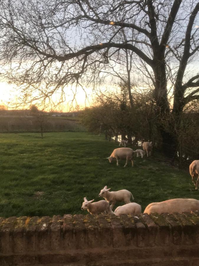 Kasteel Landgoed Crayenstein B&B Tricht Kültér fotó