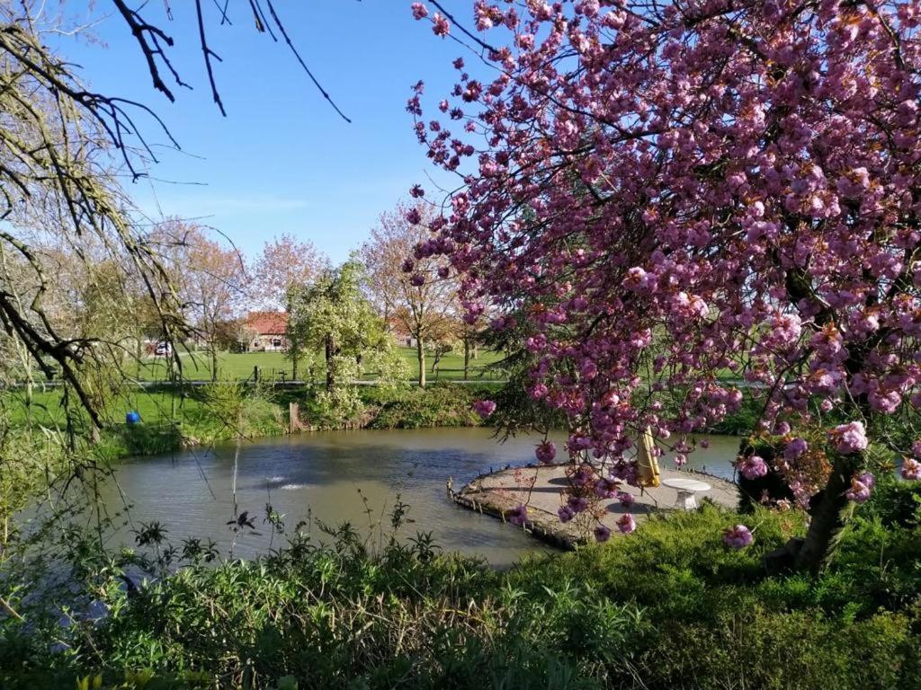 Kasteel Landgoed Crayenstein B&B Tricht Kültér fotó