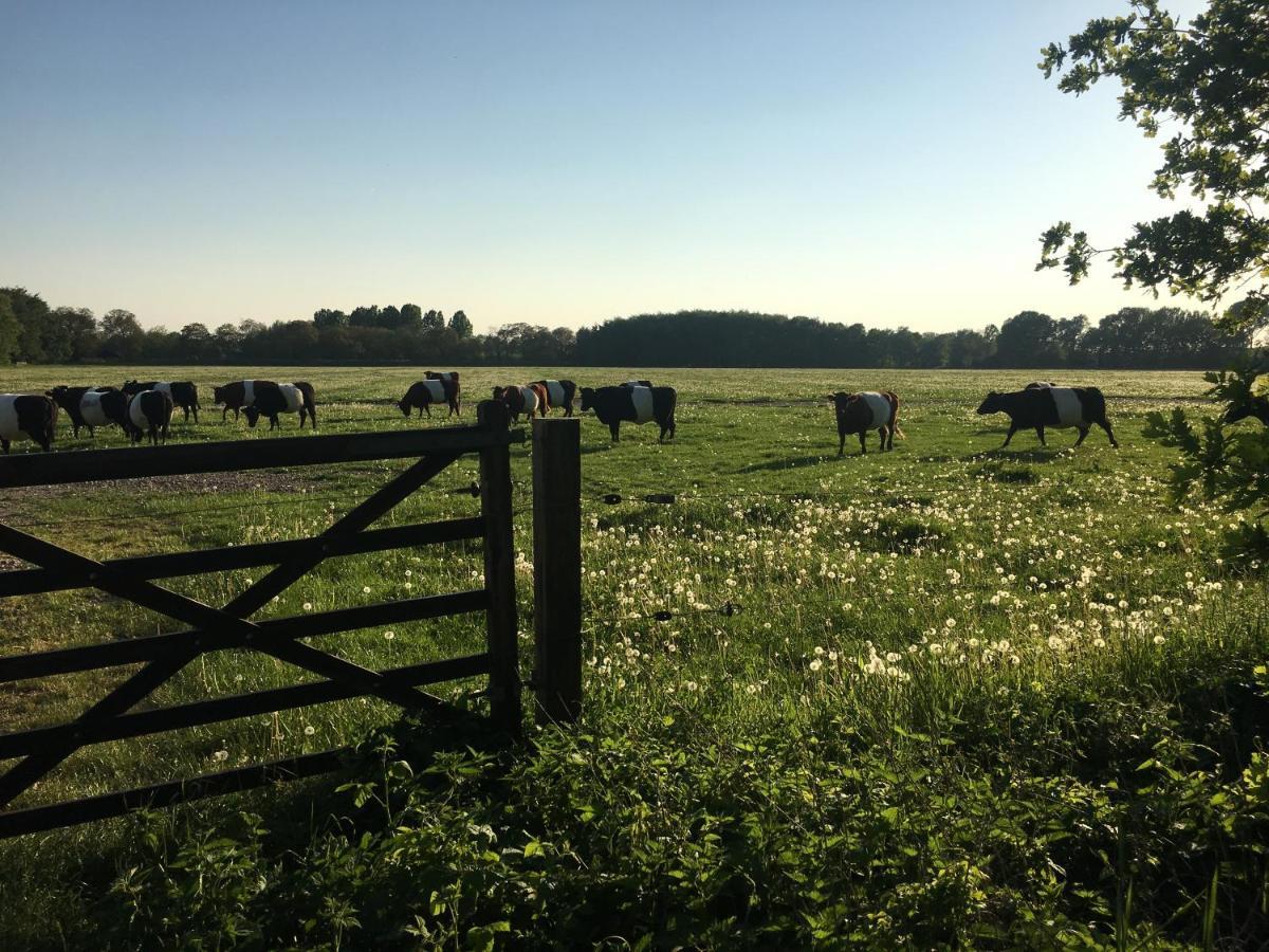 Kasteel Landgoed Crayenstein B&B Tricht Kültér fotó
